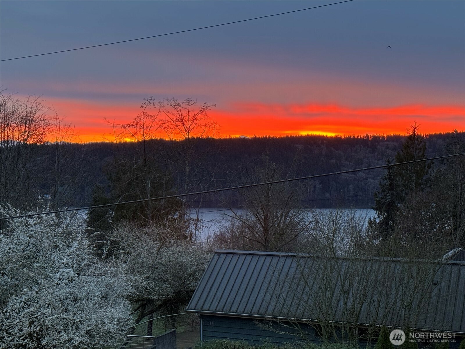 Property Photo: 14303 38th Avenue NE WA 98125