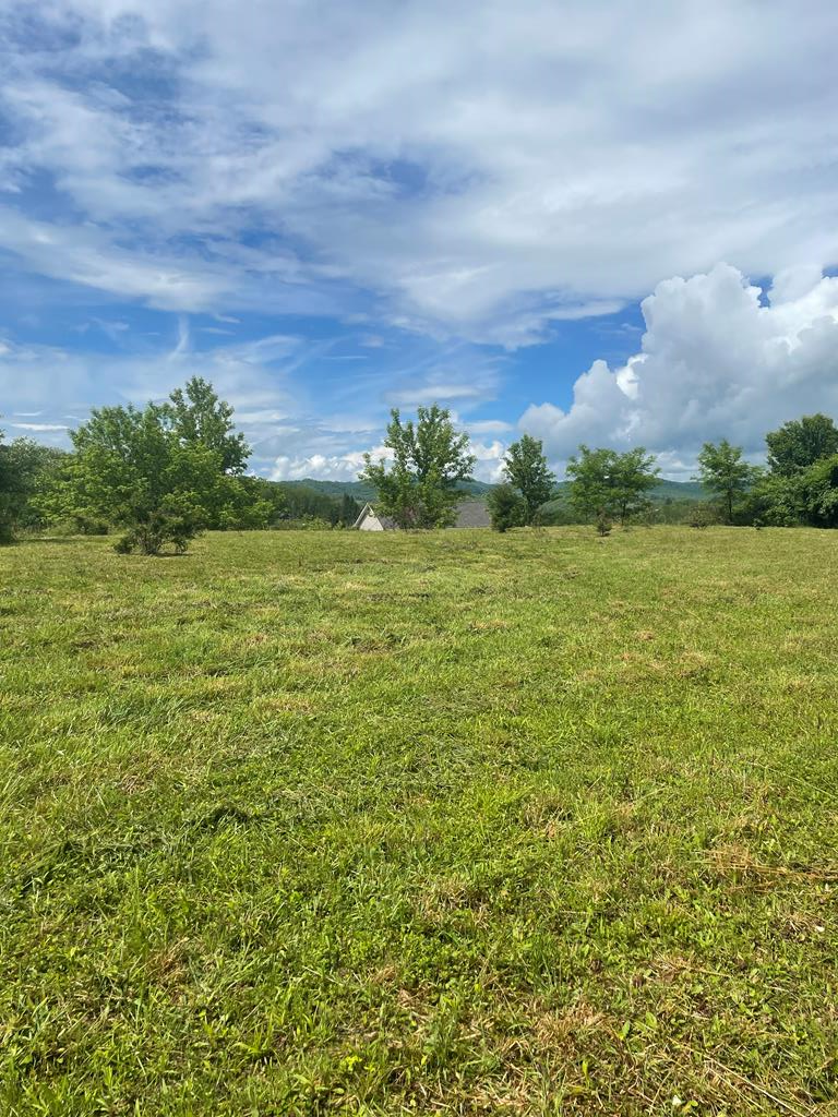 Property Photo:  Tbd Deer Ridge Trail  VA 24651 