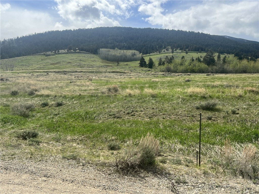 Lot 4 Elk Run Drive  Red Lodge MT 59068 photo