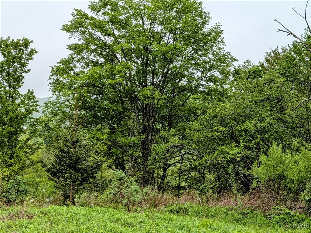 Property Photo: 0 Maricle Rd. Road NY 13040