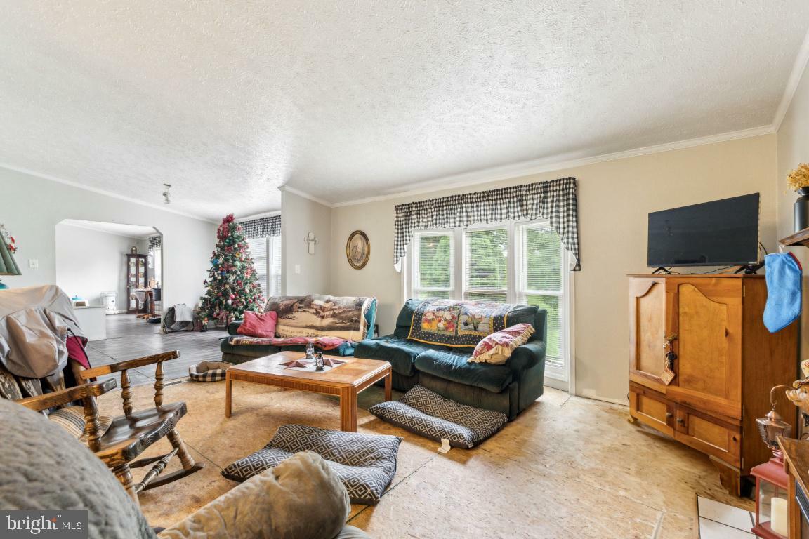 Property Photo: 191 Youngs Drive VA 22630