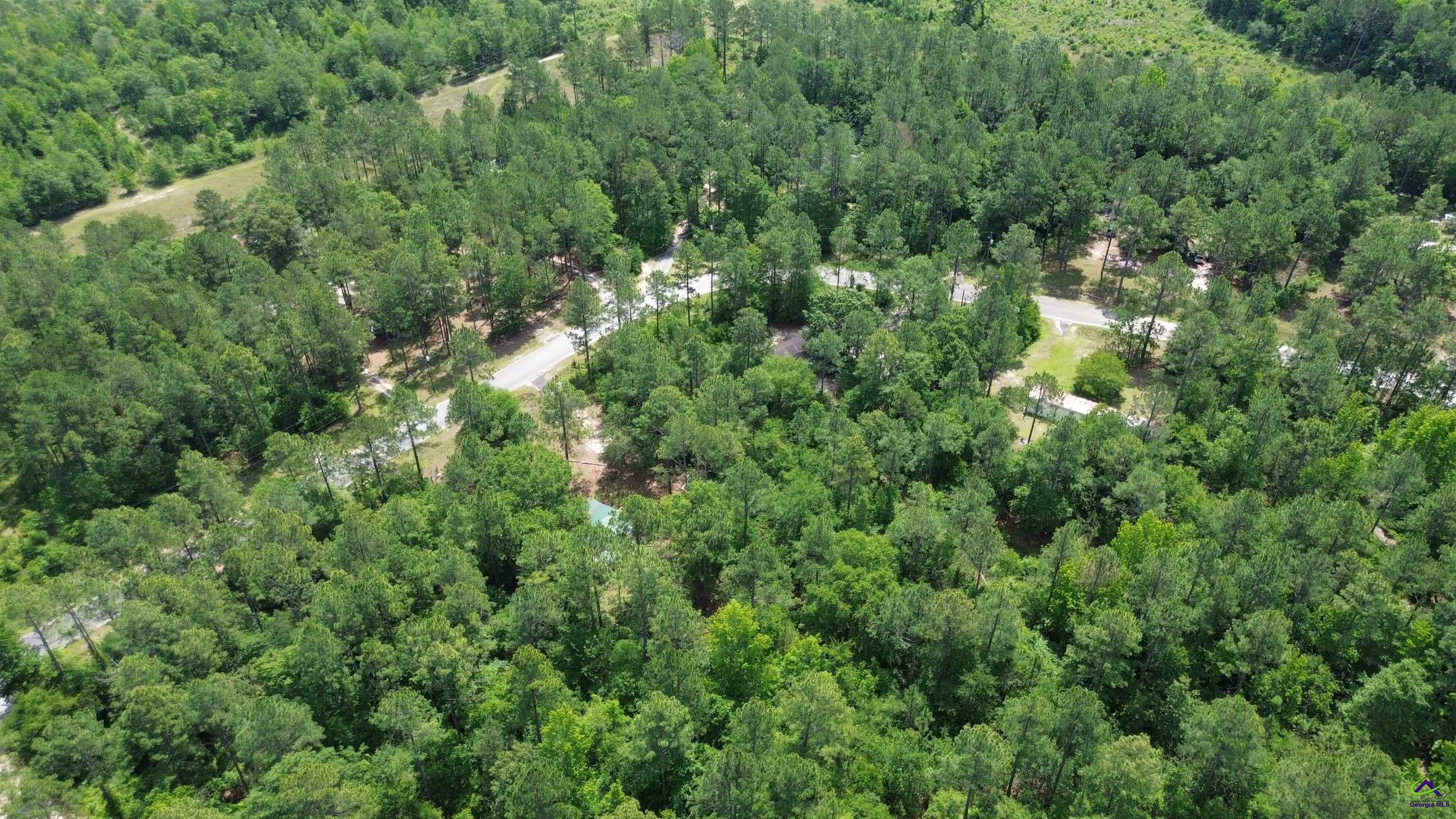 Property Photo:  Rock Hill Road  GA 31014 