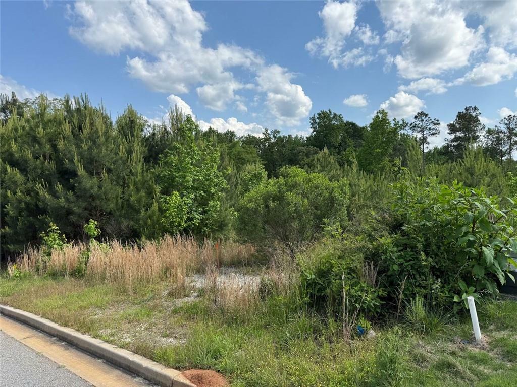 Property Photo: 40 Arbor Springs Parkway GA 30265