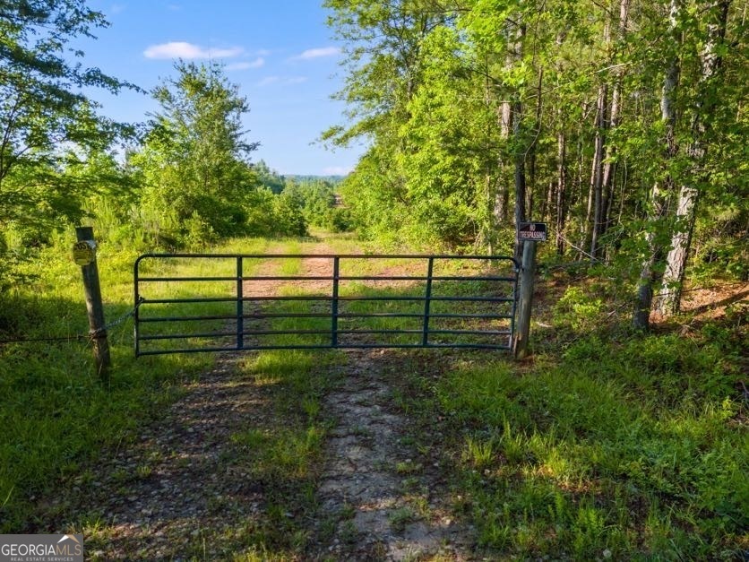 Property Photo: 0 Hutcheson Ferry Road GA 30185