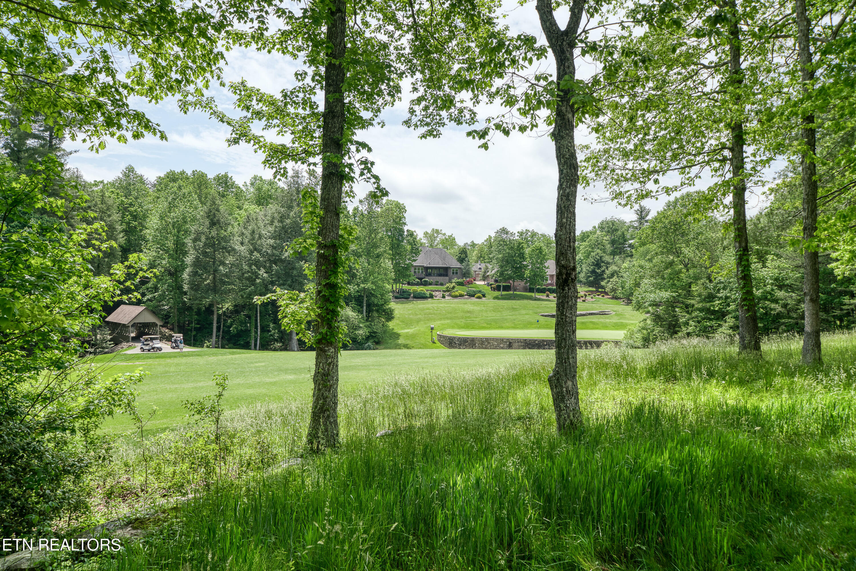 Property Photo: 20 Castlebridge Lane TN 38558