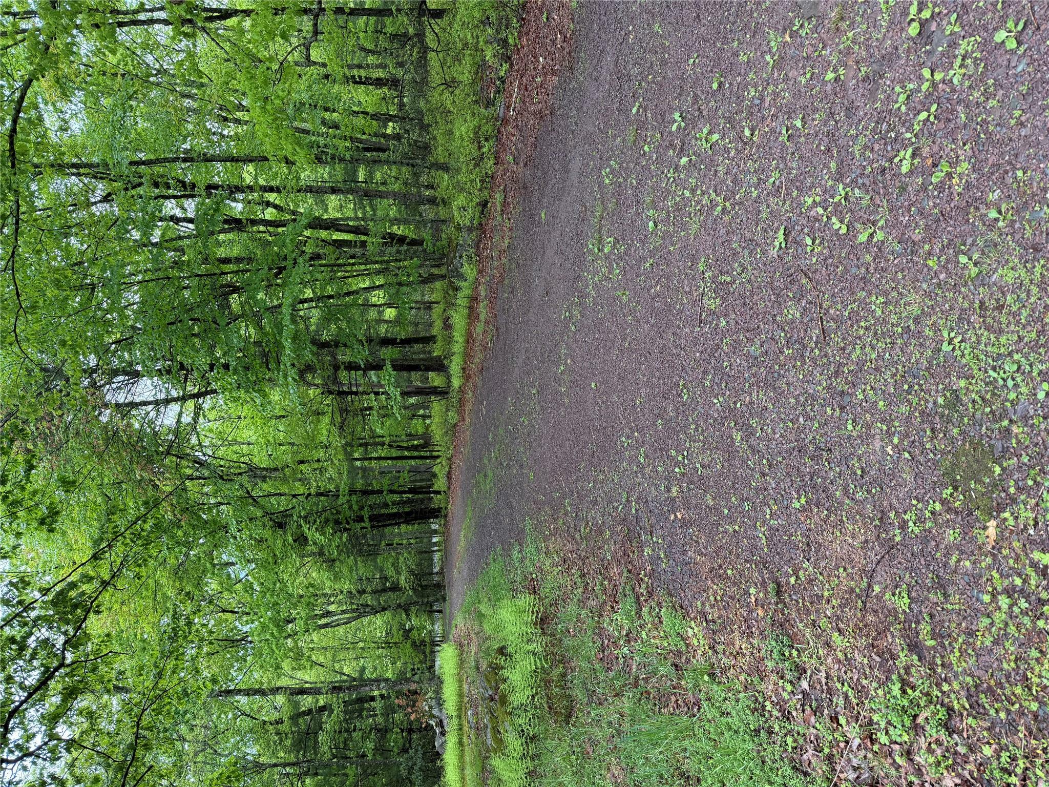 Property Photo: 123 Split Rock Drive NY 12719