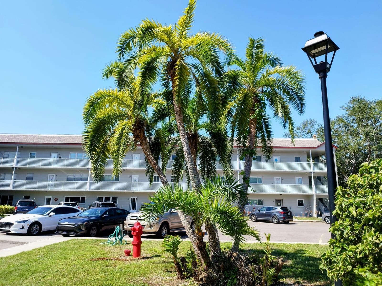 Property Photo: 2261 Swedish Drive 59 FL 33763