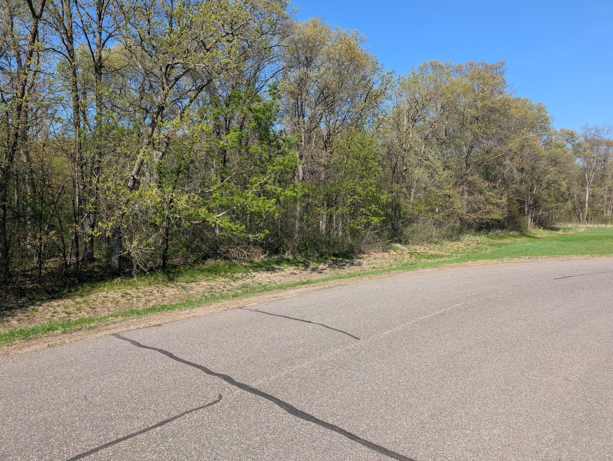 Property Photo: Tbd Arbor Lane SW MN 56473