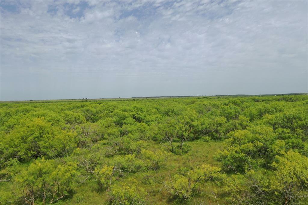Property Photo:  Tbd Fm 2321-Tract 1  TX 76228 