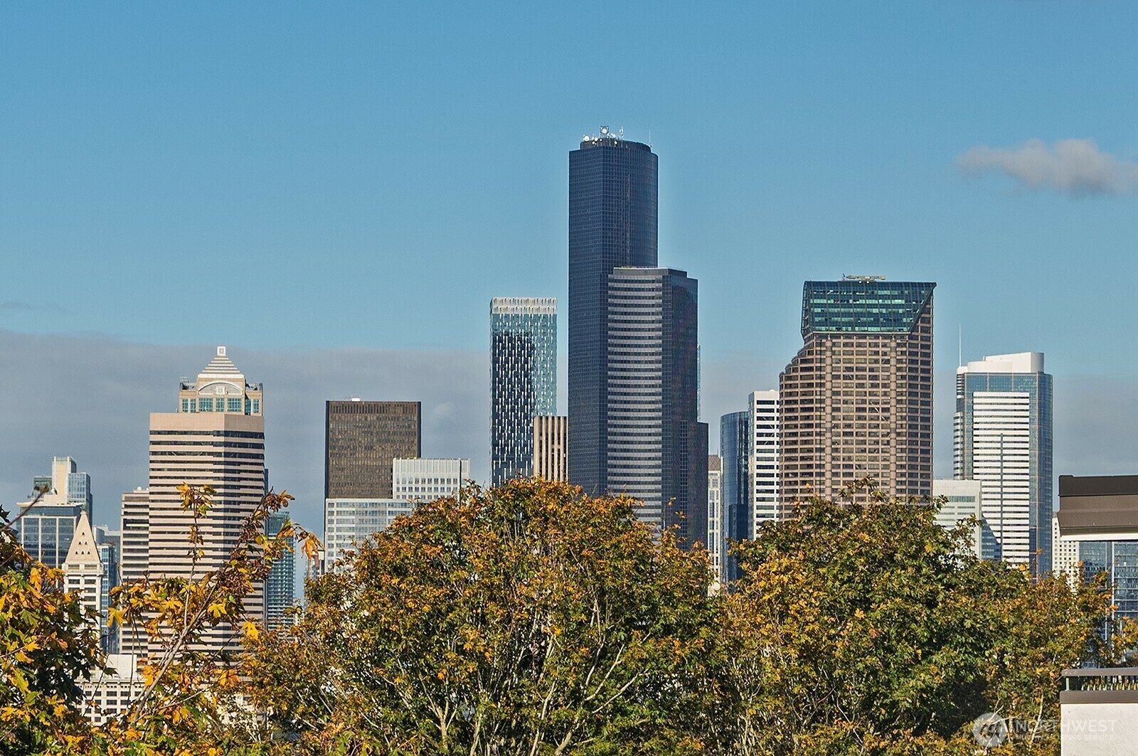 1604  11th Avenue S 402  Seattle WA 98134 photo