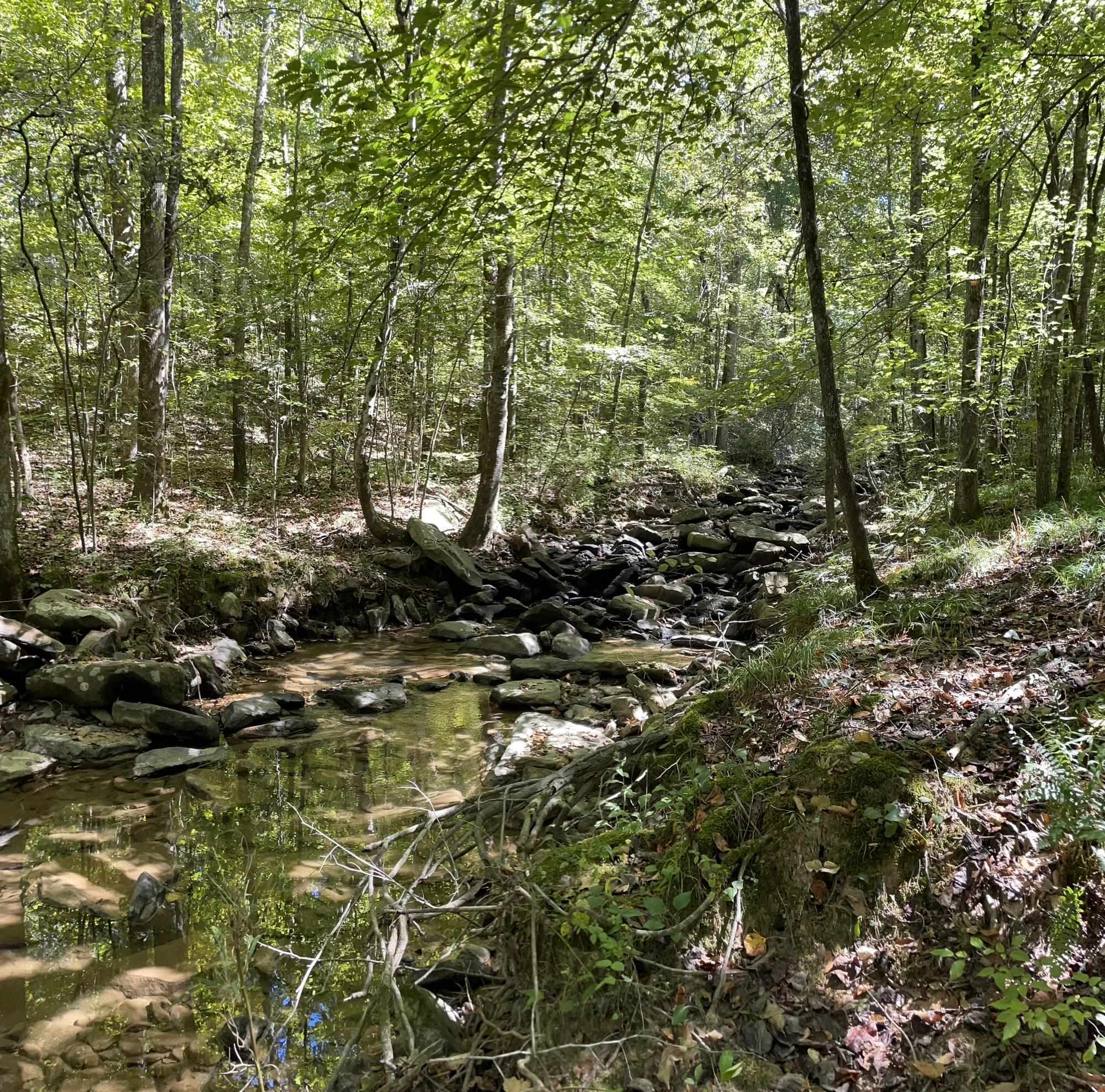 Property Photo: 1718 County Hwy 5 AL 35079 - HAYDEN