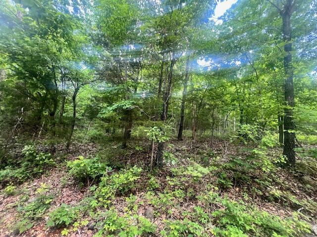 Property Photo: Tbd Missouri Line Road AR 72554