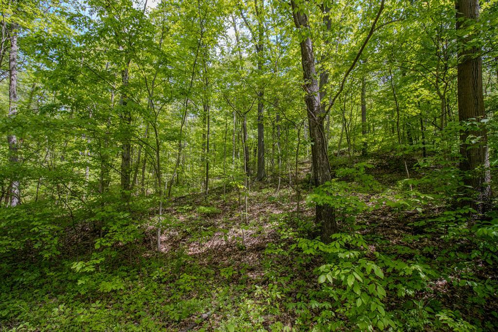 Property Photo: 0 Kinzer Road OH 45612