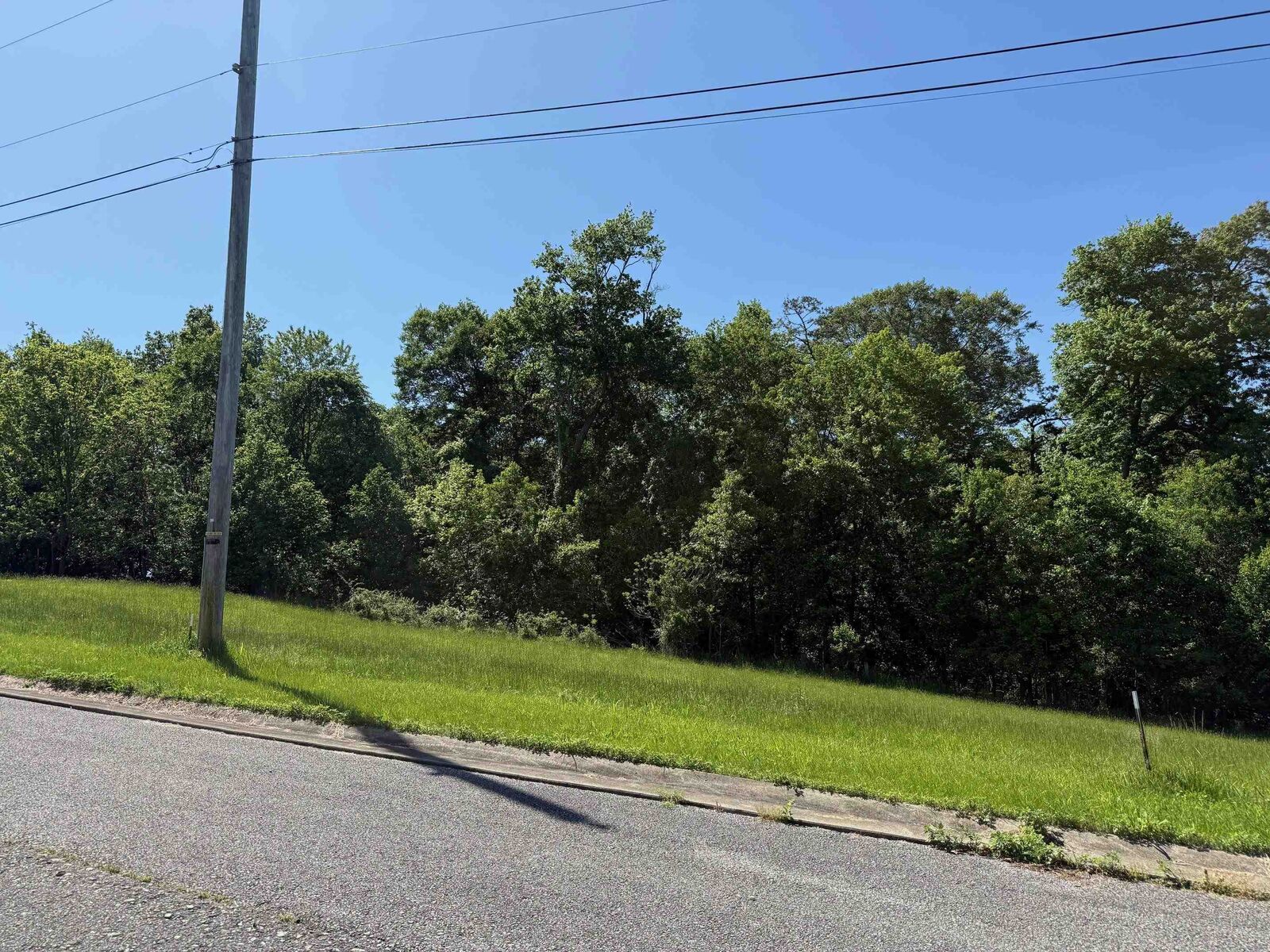 Property Photo:  Lot #19 Meadow Glen Road  KY 41139 