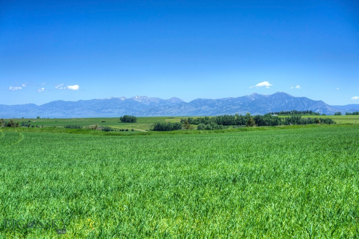 Property Photo:  13830 (Tract A-D) Cottonwood Road  MT 59718 