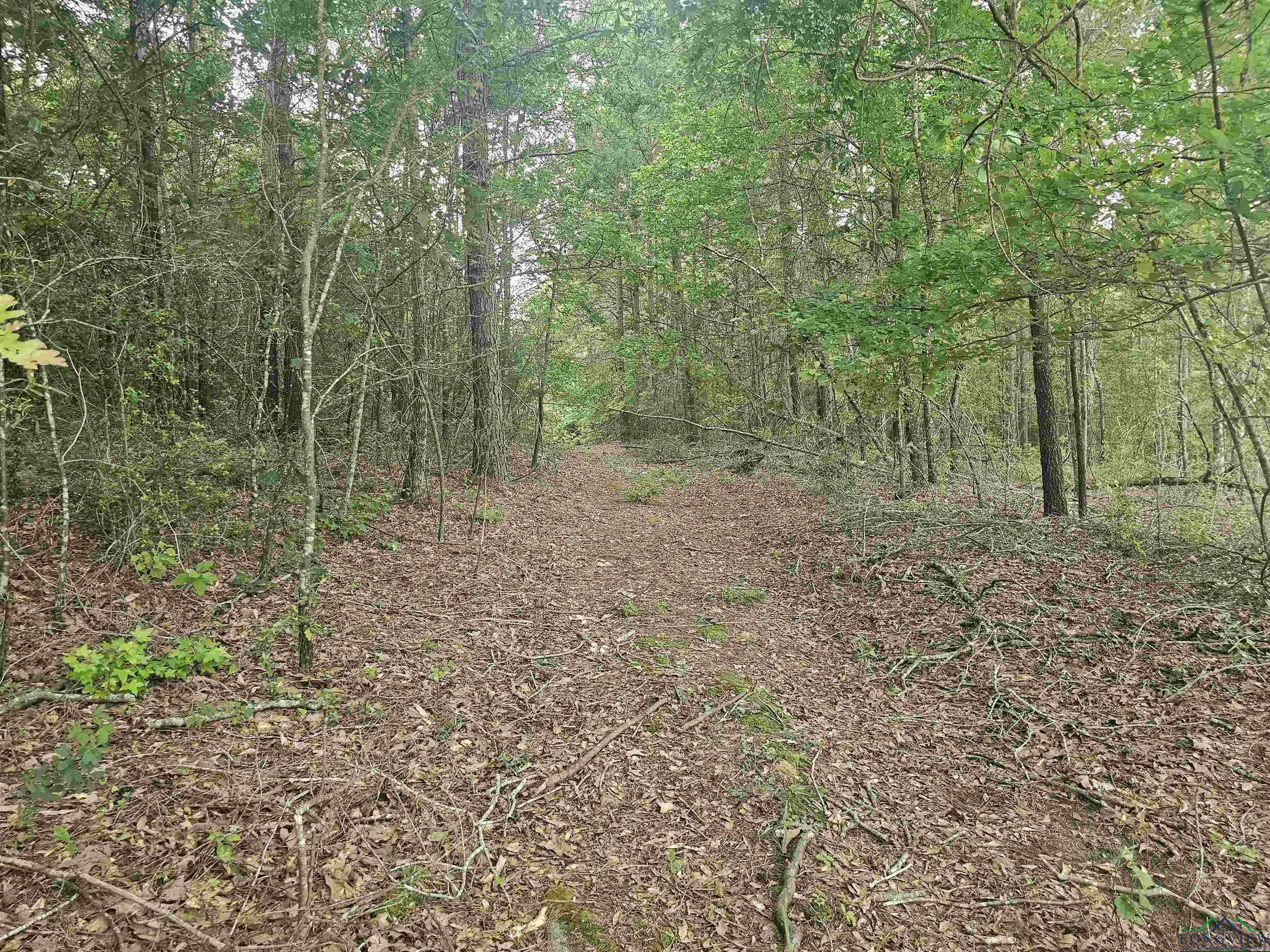Property Photo: Tbd Long John Rd. TX 75672