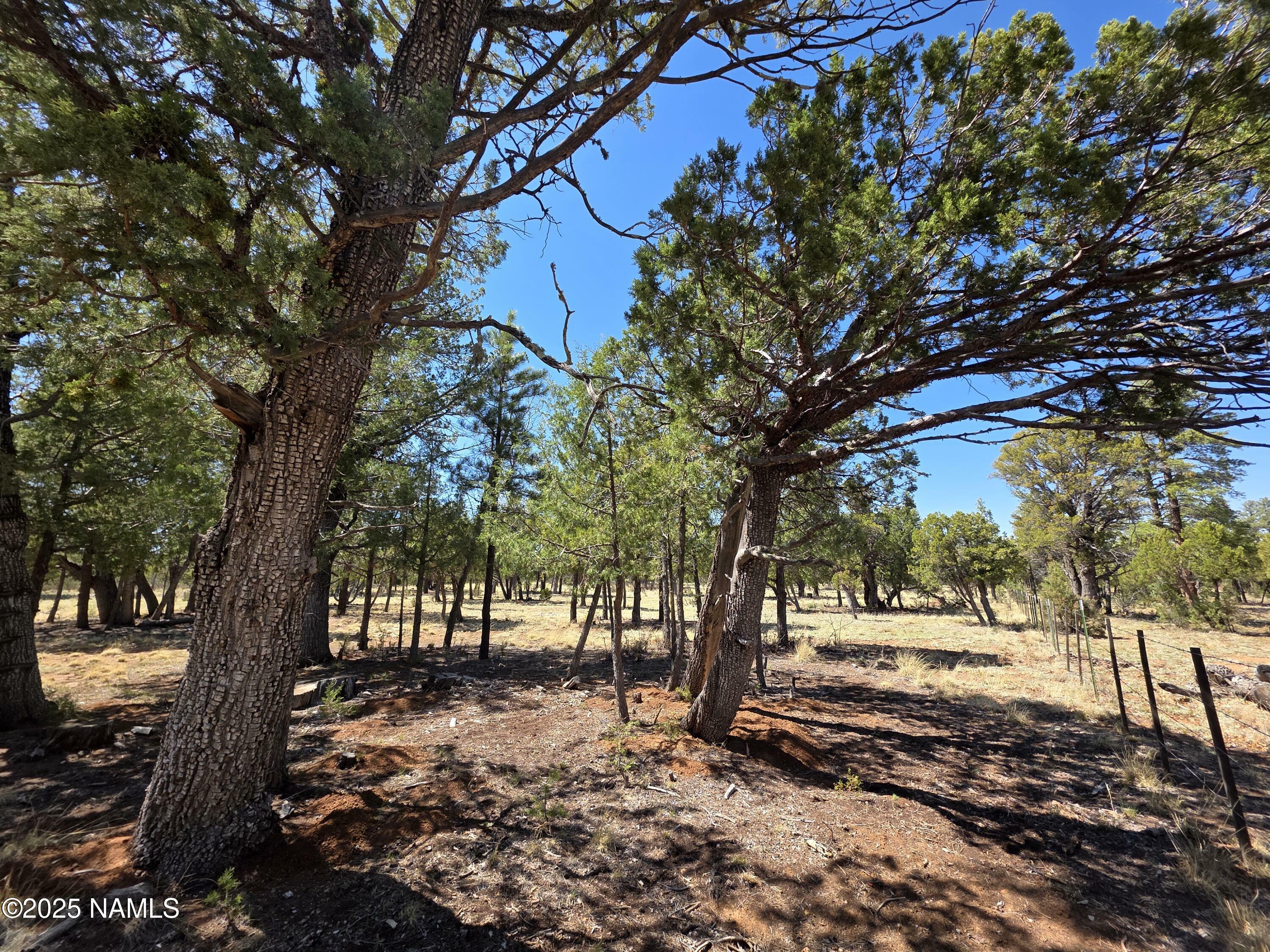 Property Photo:  3874 Durango Drive  AZ 86024 