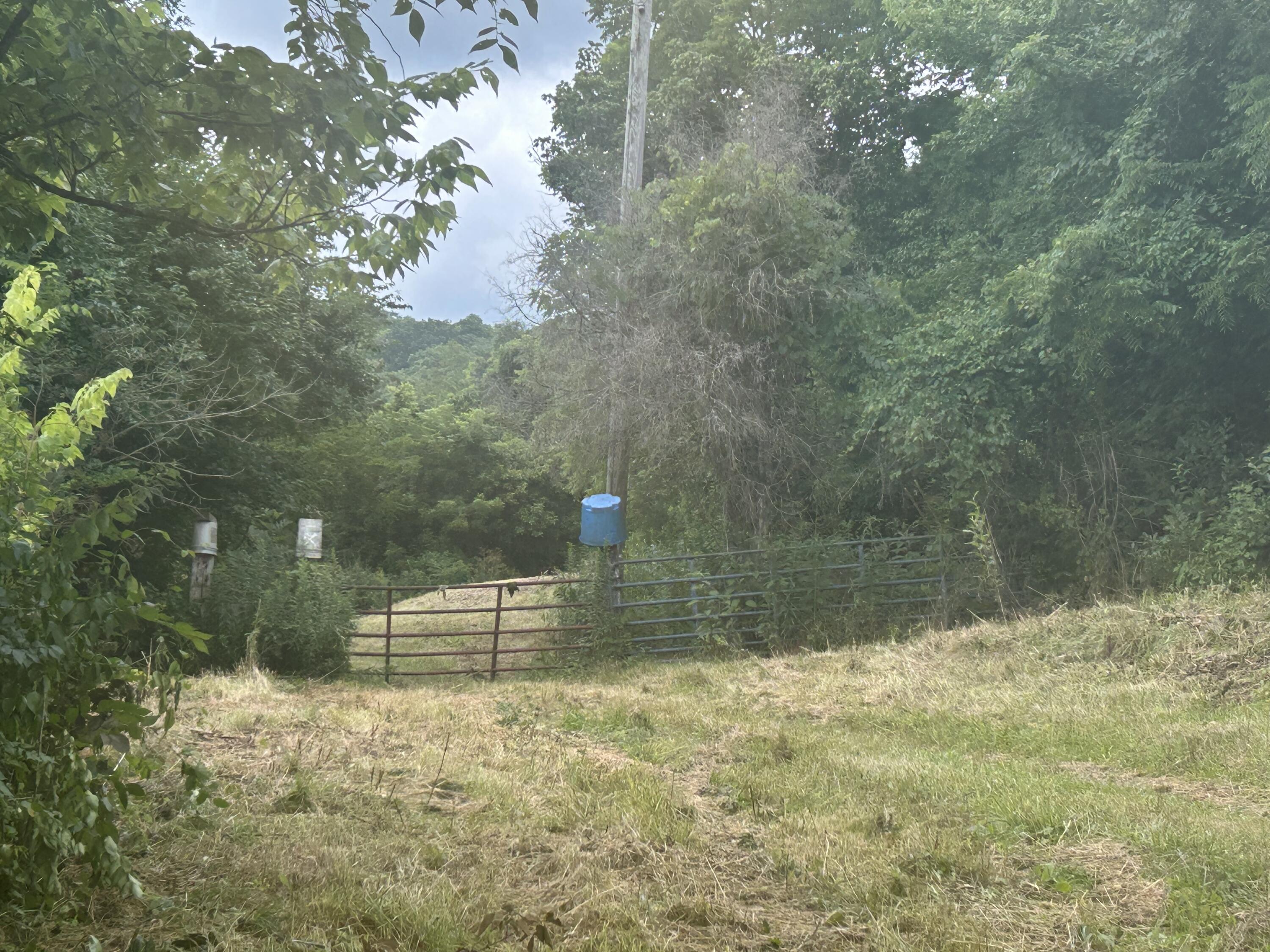 Property Photo: 4285 Hwy 467 KY 41046