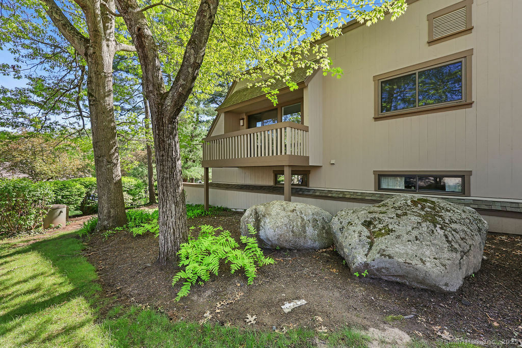 Property Photo: 55 Great Meadow Lane 55 CT 06001