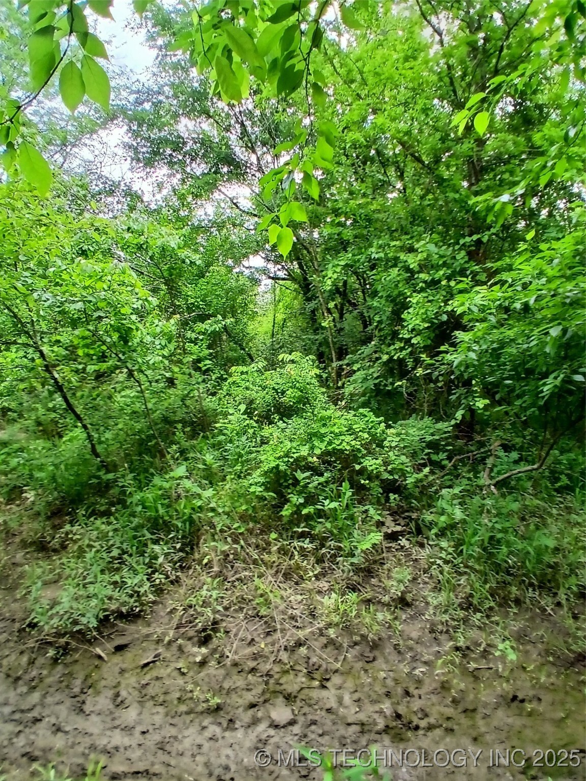 Property Photo:  E Monroe  OK 74522 