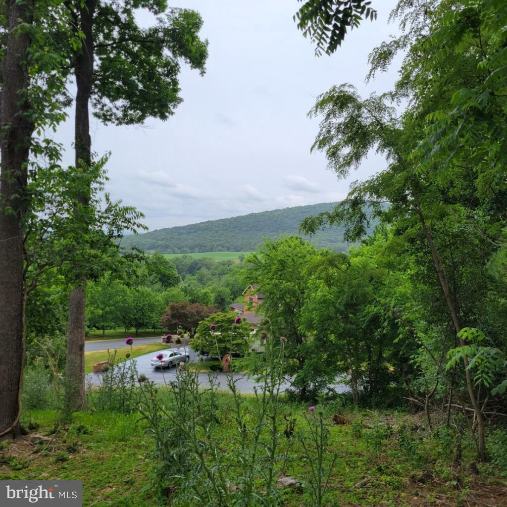 Property Photo: 10952 Partridge Drive PA 17268