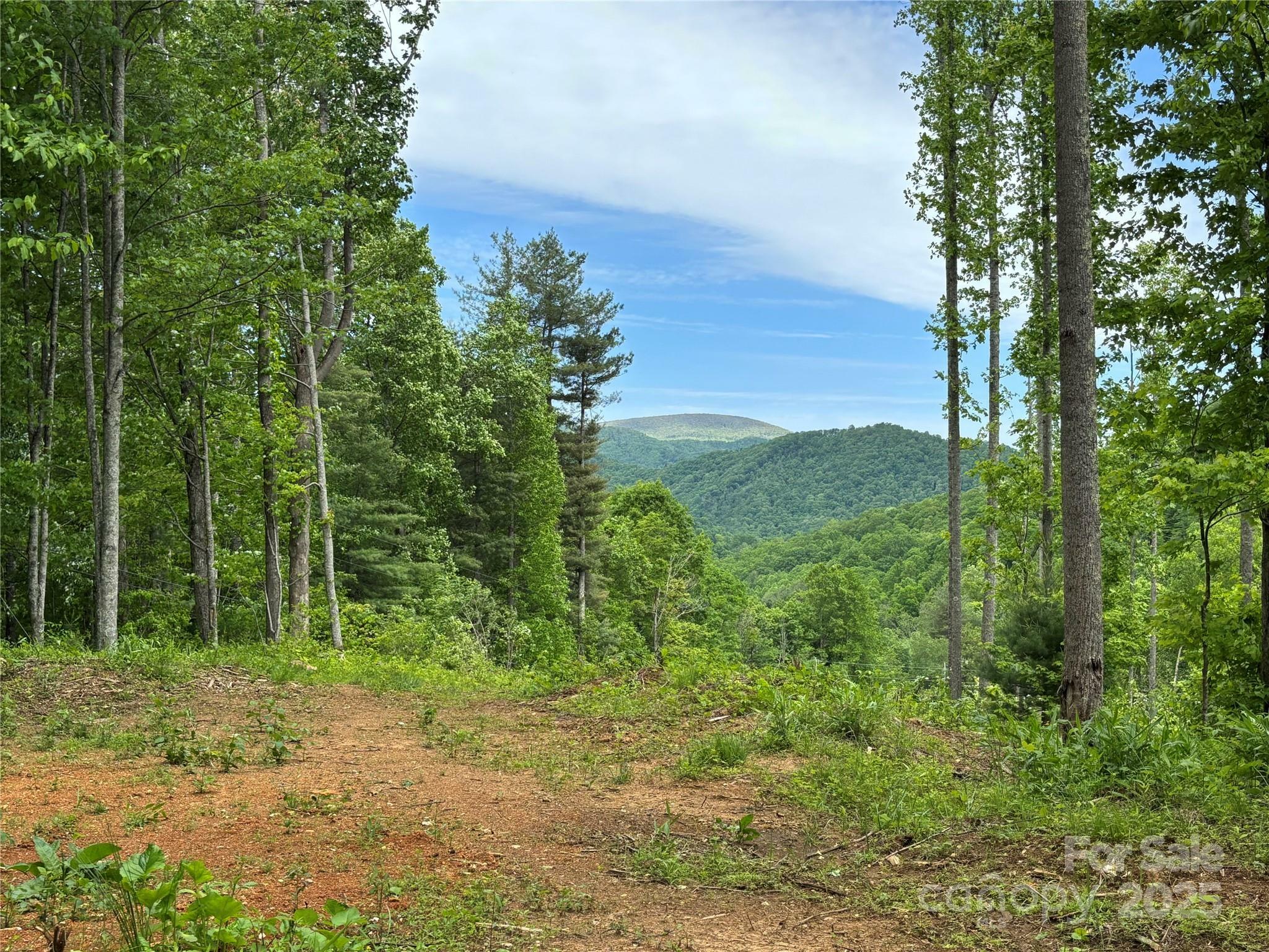 Property Photo: (SW Lot) Tbd Silas Branch Road NC 28714