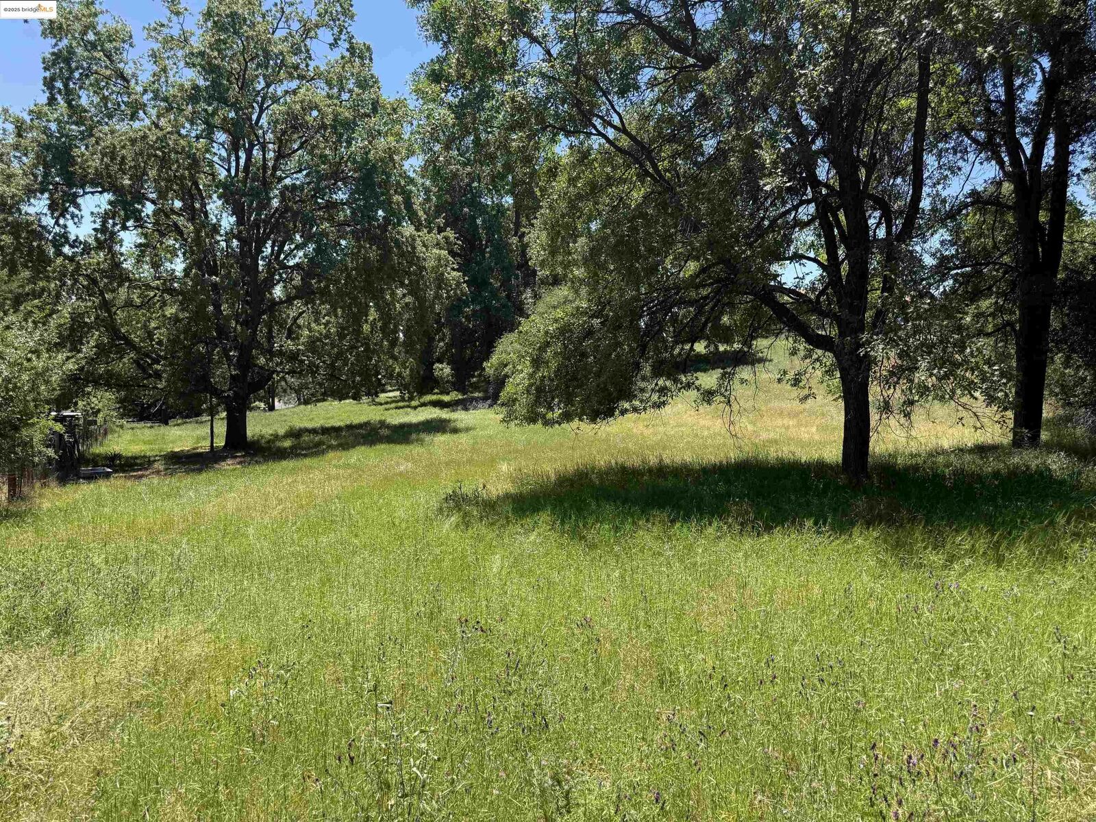 Property Photo:  0000 Meadow Lane  CA 95370 