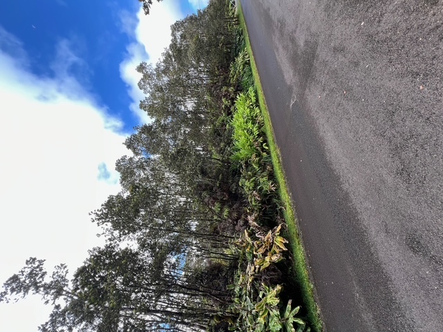 7th St  Volcano HI 96785 photo