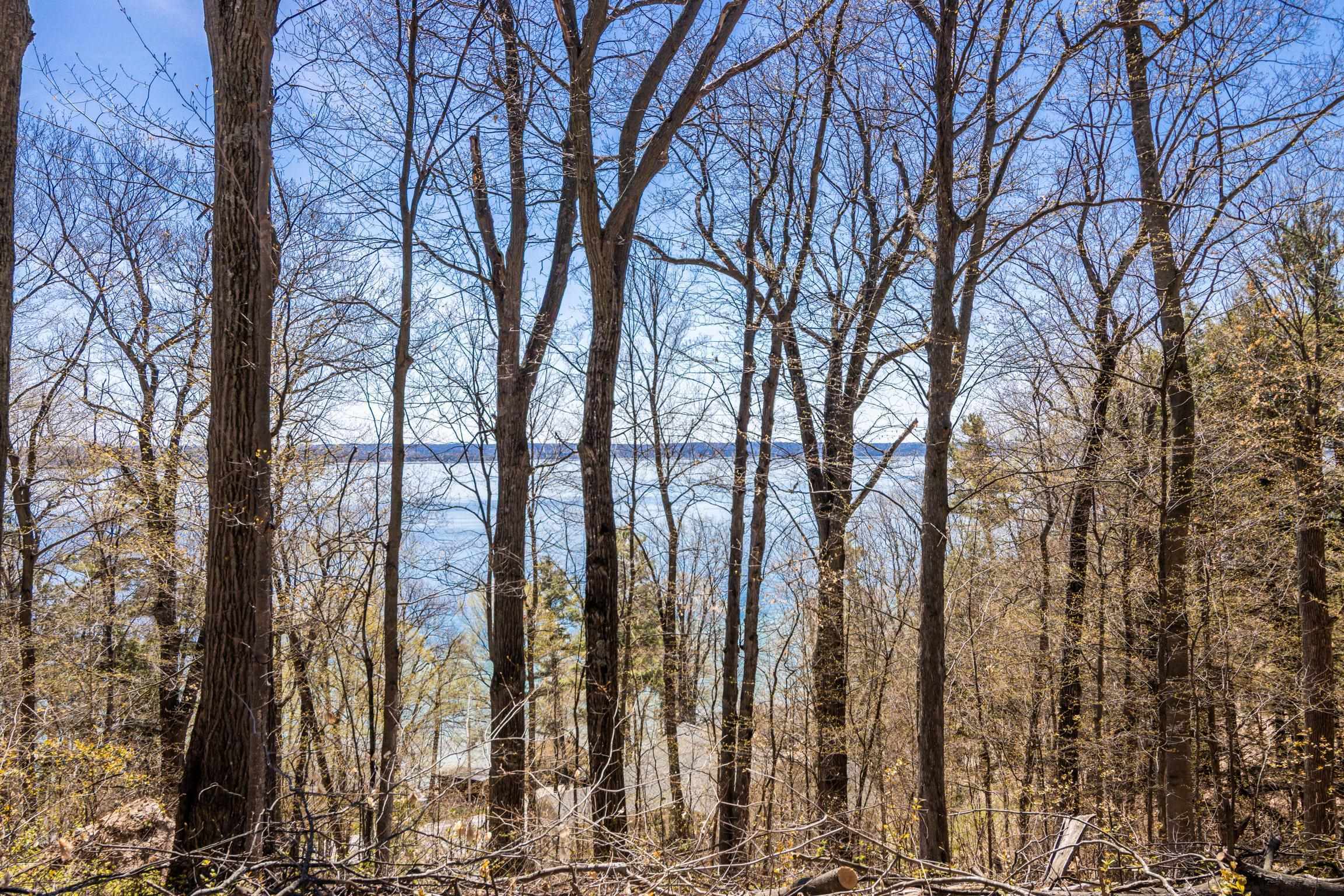 Property Photo: Lot 21 Moonrise Court MI 49686