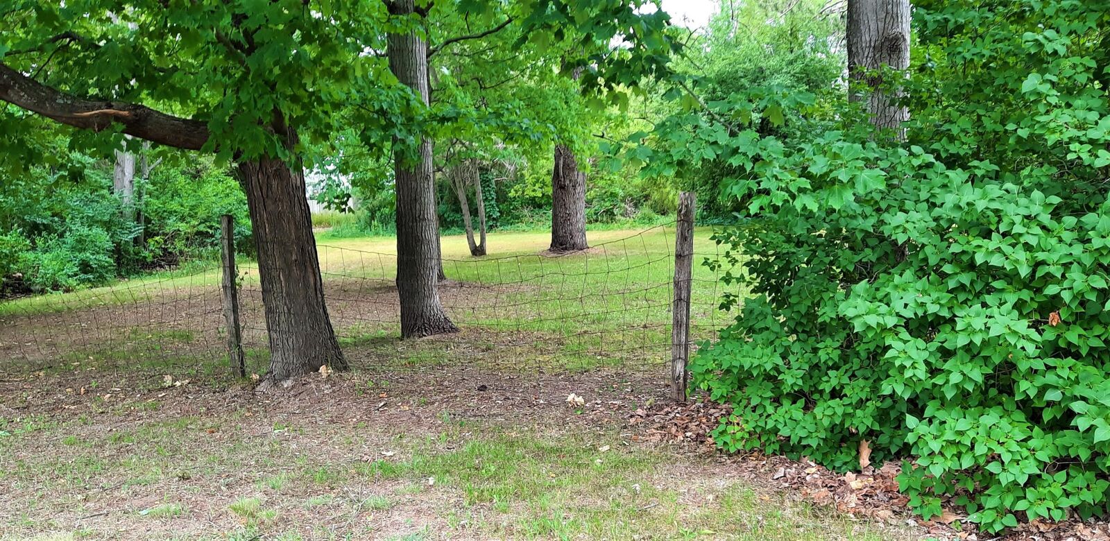 Property Photo: 14543 Louhi Avenue MI 49645