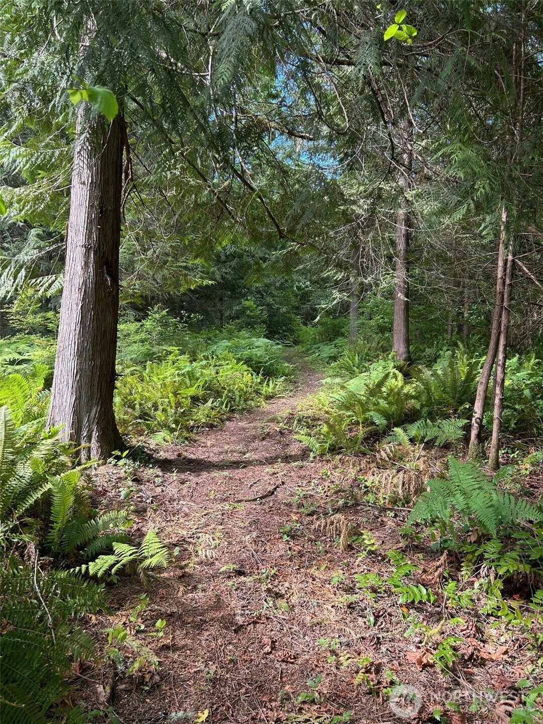 Property Photo:  19545  Laurene Lane NW  WA 98370 