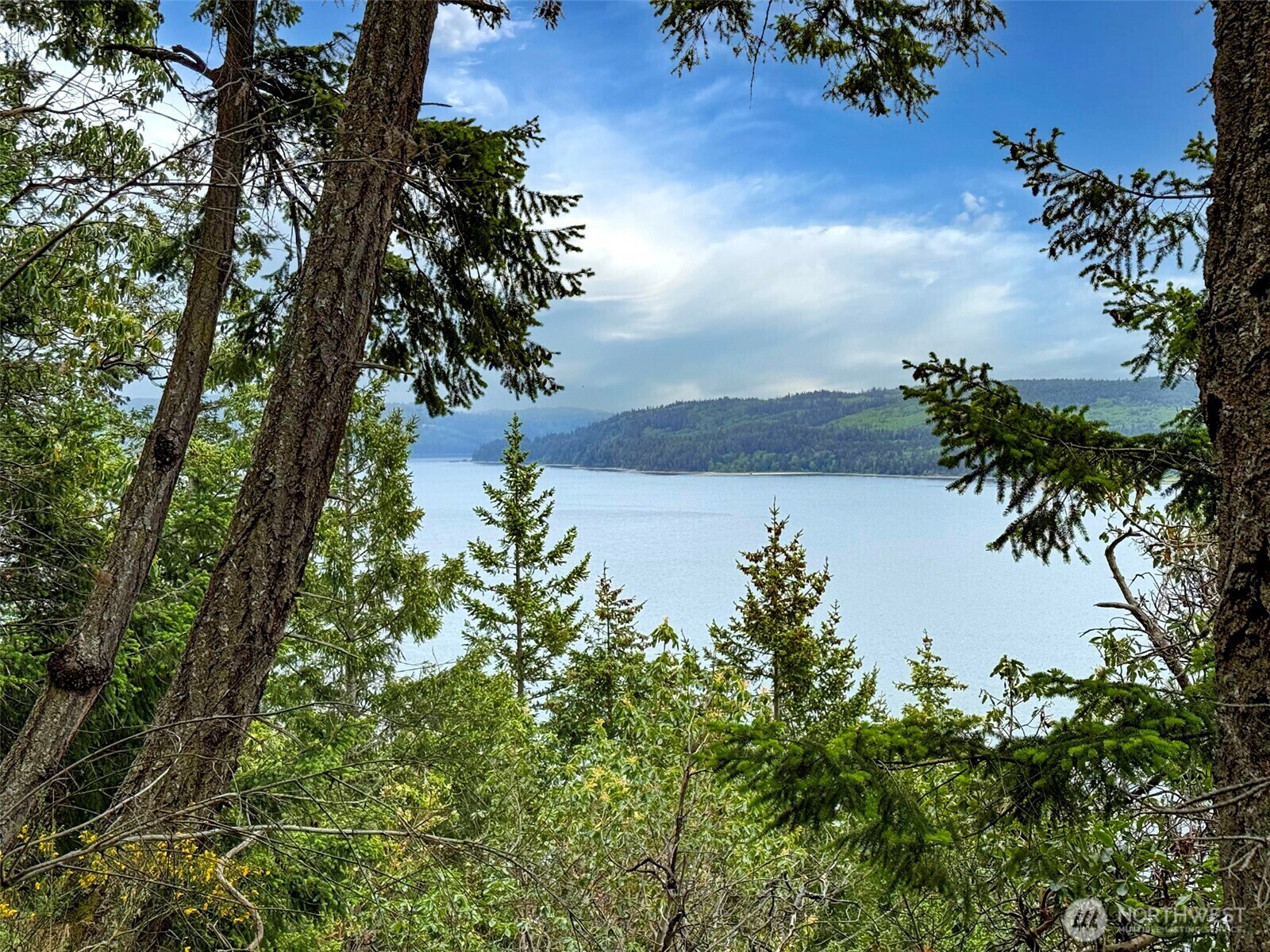 136  Discovery Crest Pl  Port Townsend WA 98368 photo