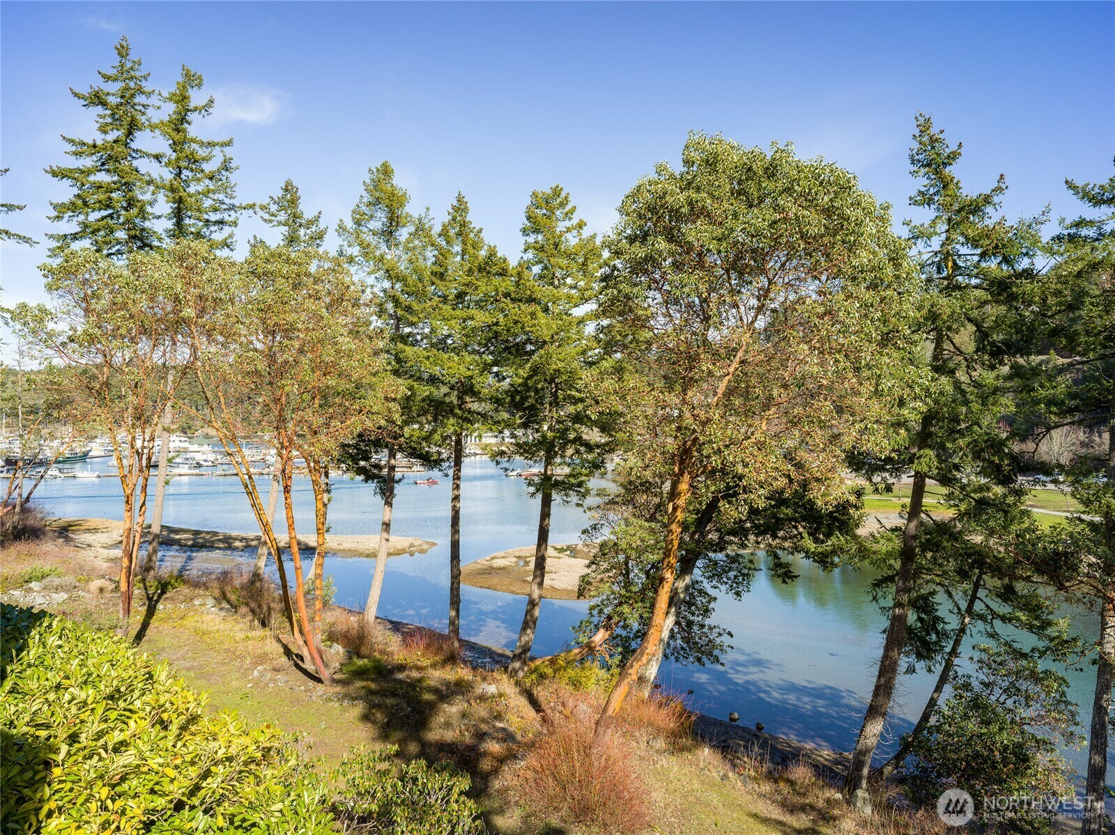Property Photo: 98 Armadale Road 215 WA 98250