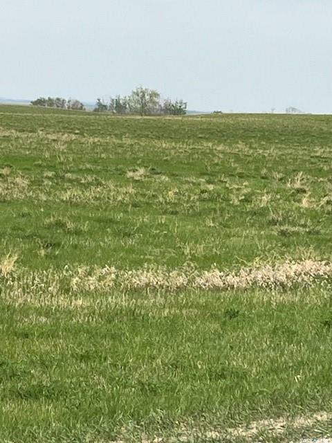 Rural Address  Dundurn Rm No. 314 SK S0K 1K0 photo