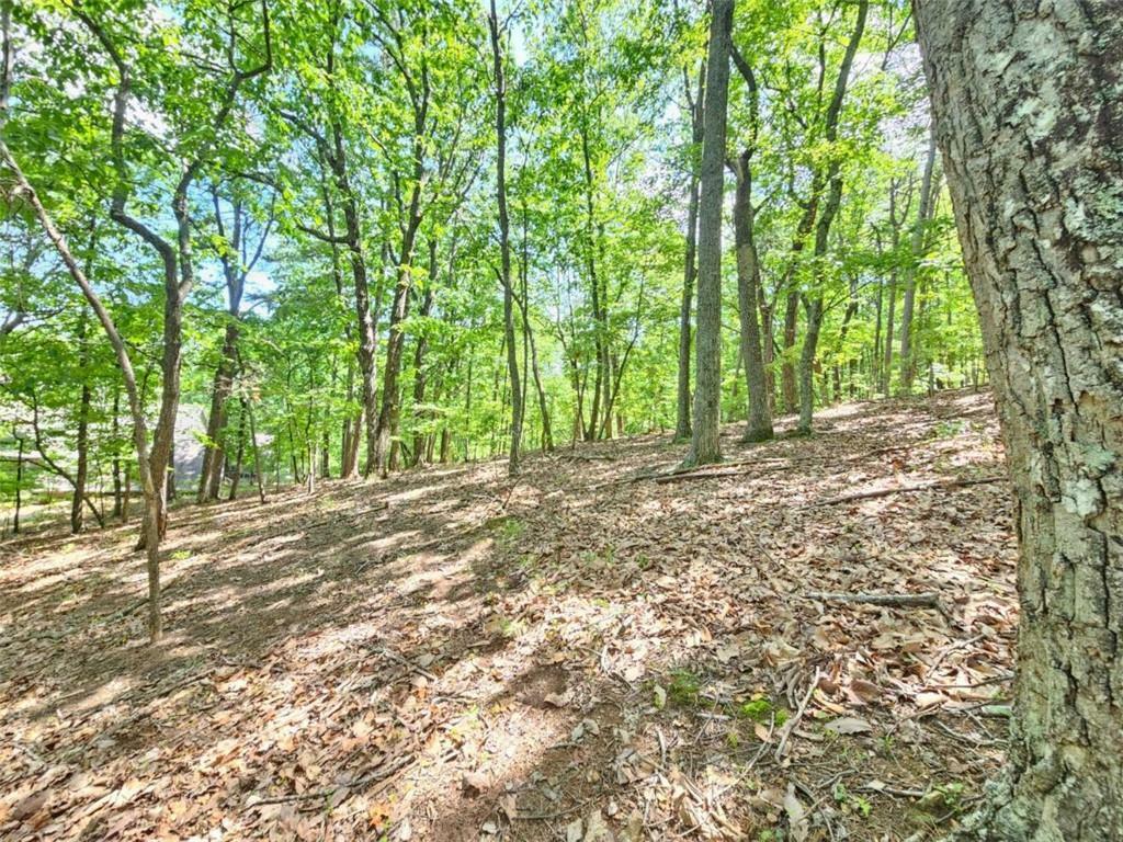 Property Photo: 0 Turnbury Lane GA 30143