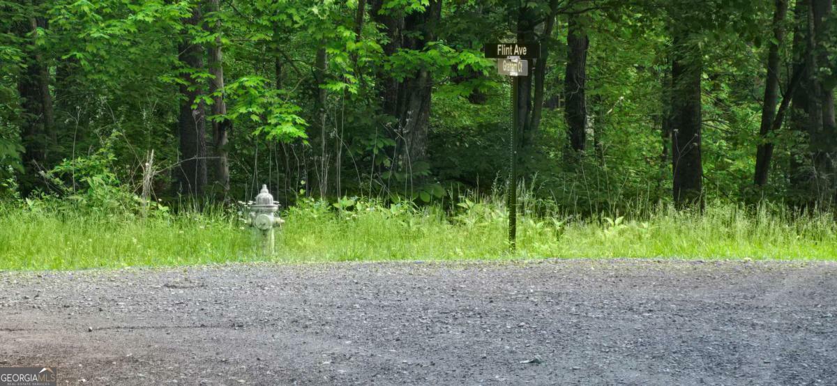 Property Photo: Lot 3760 Graham Court GA 30540