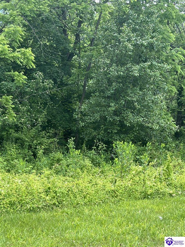 Property Photo: Lot 908 Primrose Lane KY 40108