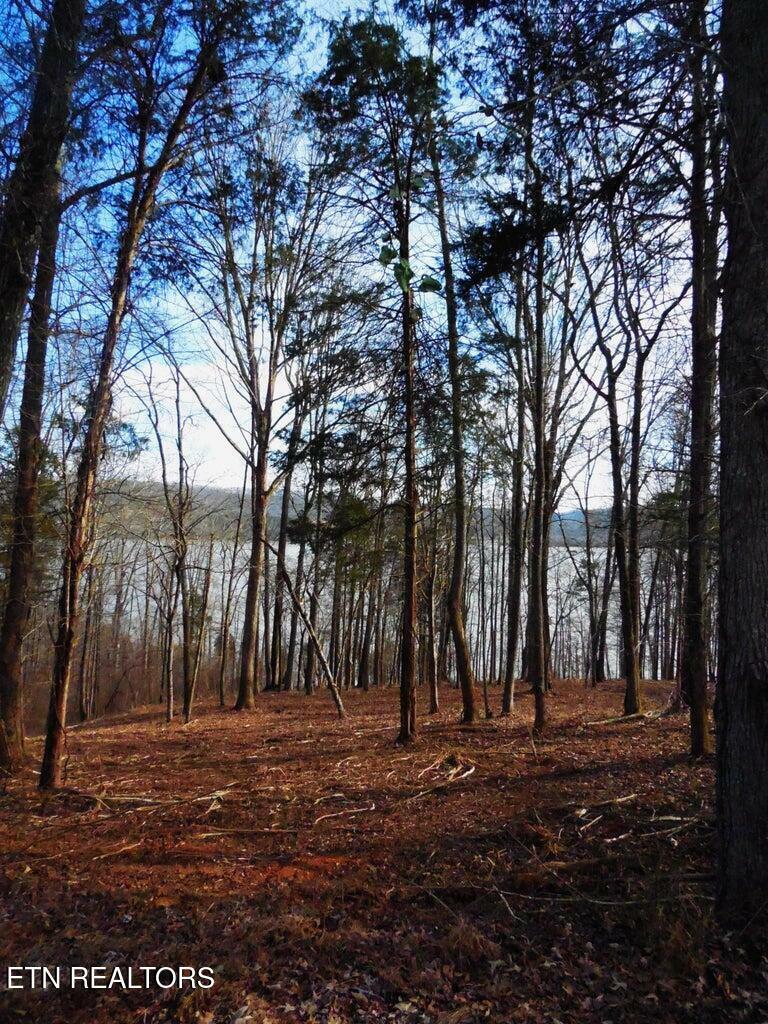 Property Photo: E Shore Lot 117 Drive TN 37854