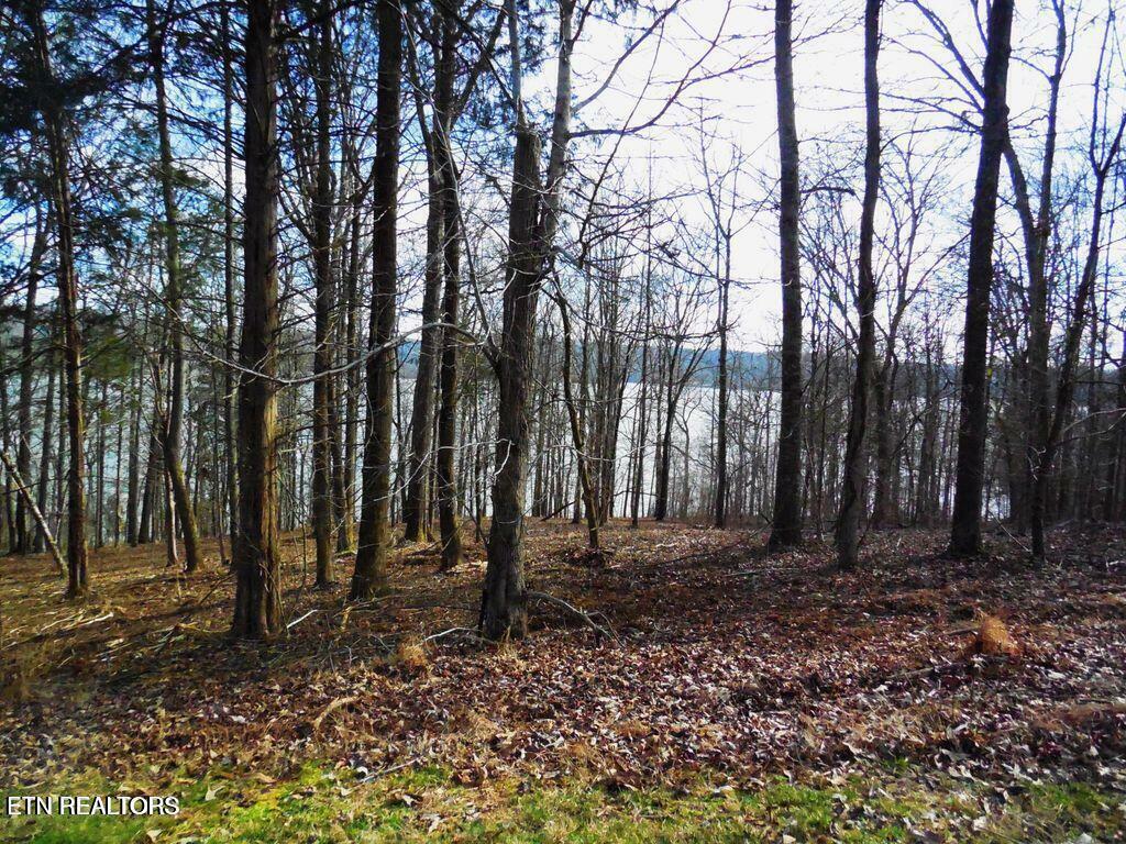 Property Photo: E Shore Lot 117 Drive TN 37854