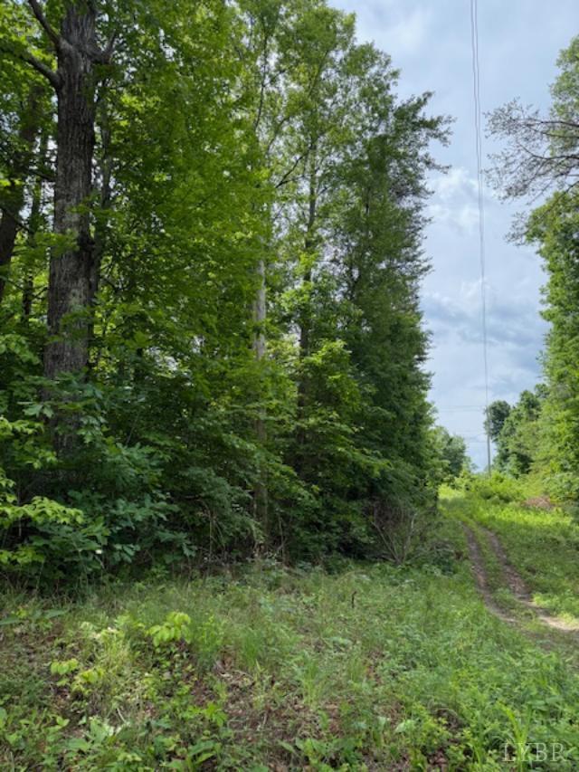 Property Photo:  0 E. Pamplin Road  VA 23958 