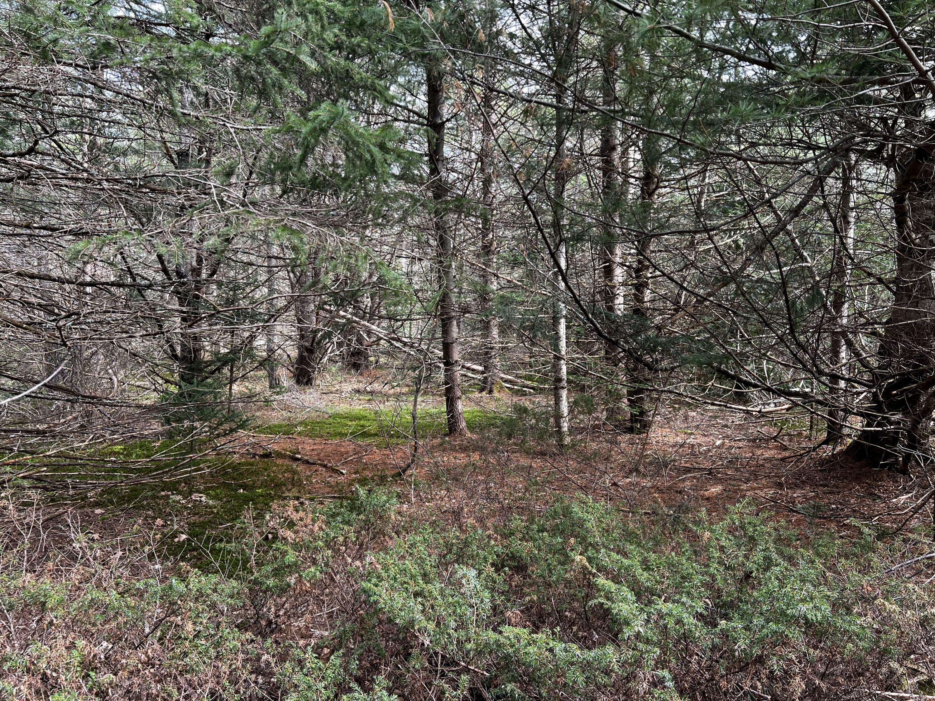 Property Photo: Lot 69 Campground Road ME 04974