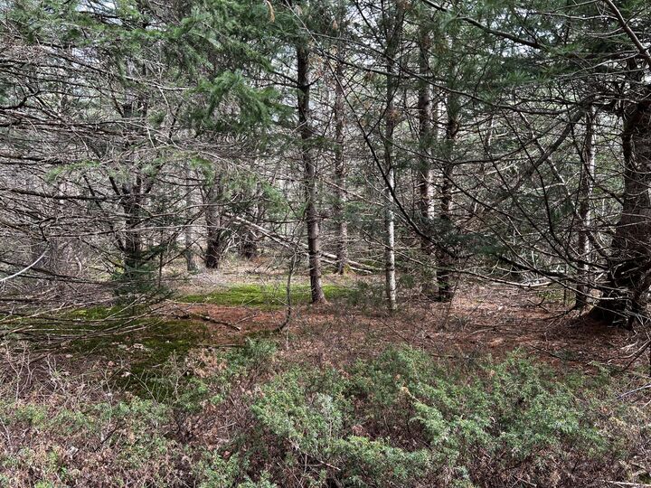 Property Photo: Lot 69 Campground Road ME 04974