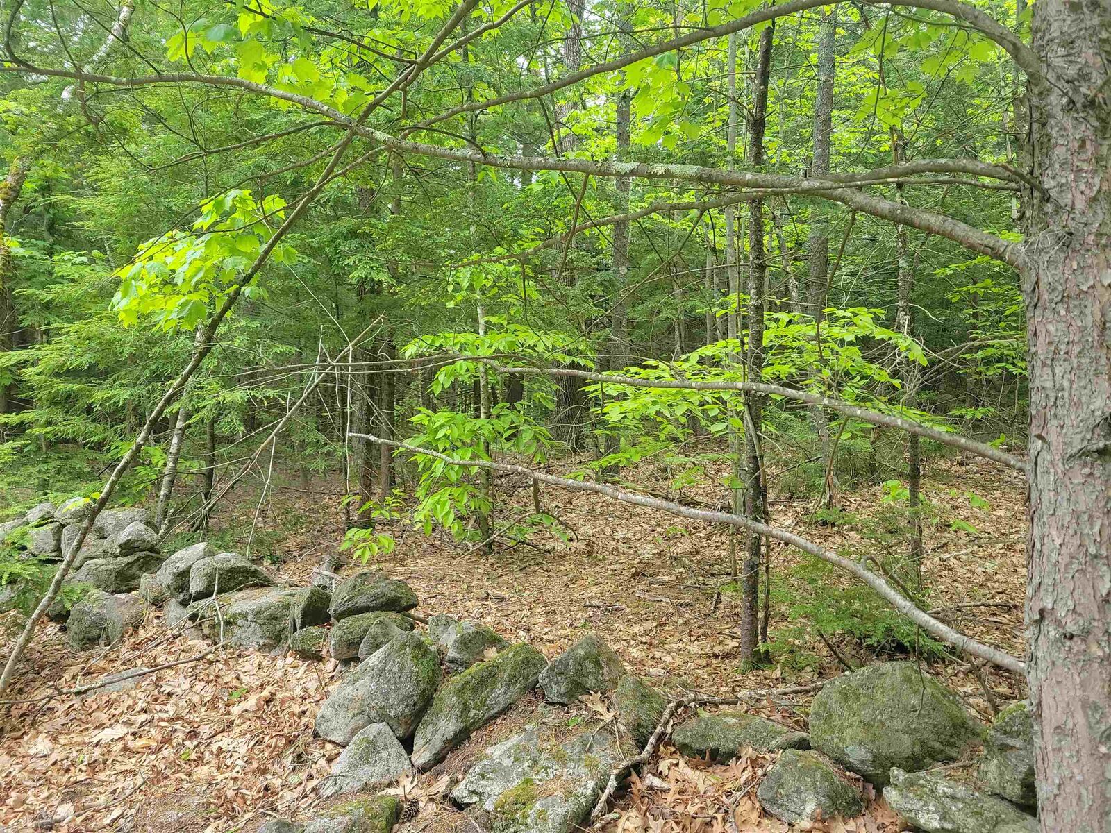 Property Photo:  Lot 1-9 Old Turnpike Road  NH 03234 