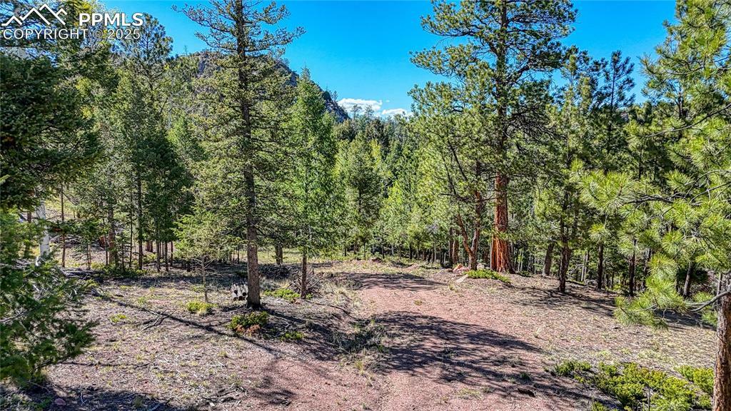 Property Photo: 56 Fir Lane CO 80816