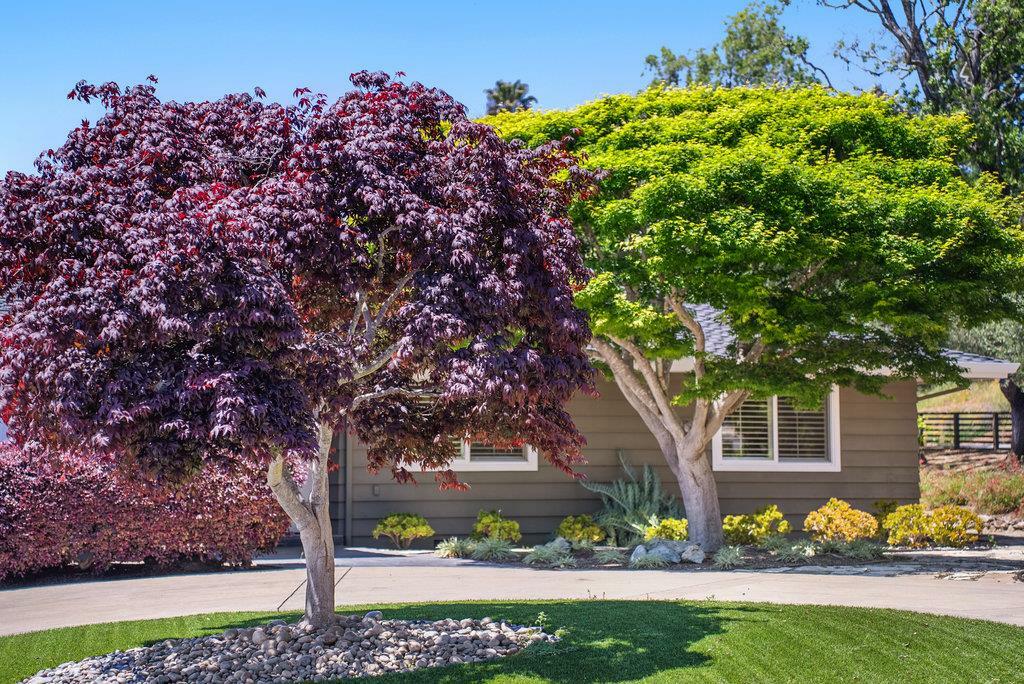 Property Photo: 290 Saint Andrews Drive CA 95003