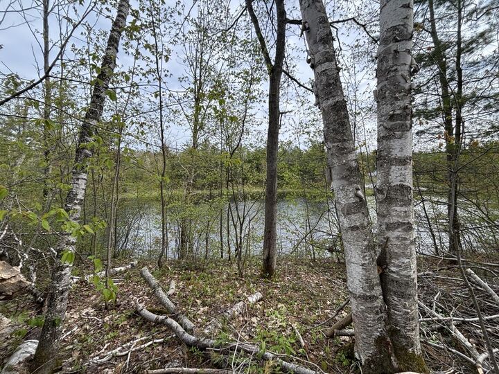 Lot 253 Iroquois Trail  Gaylord MI 49735 photo