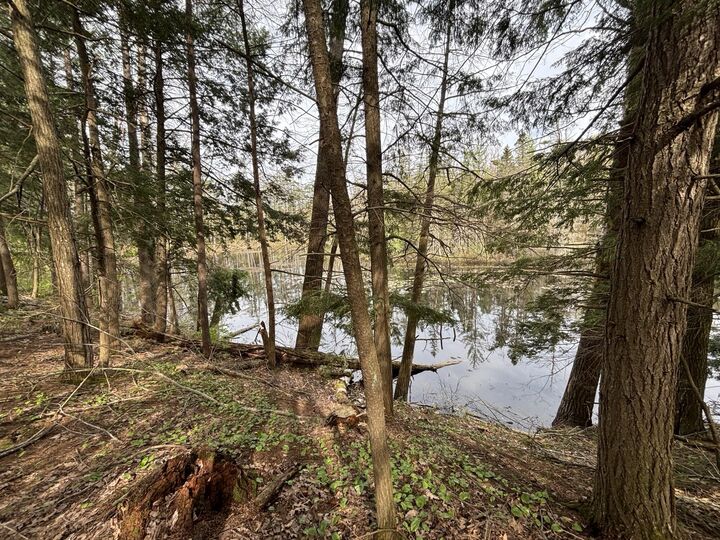 000 Cree Trail  Gaylord MI 49735 photo