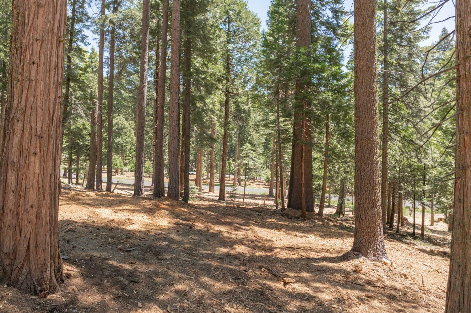 Property Photo: 3043 Shoshone Drive CA 95223