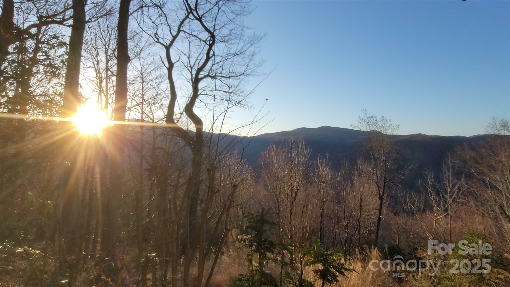 Property Photo: 698 Youngs Mountain Drive NC 28746