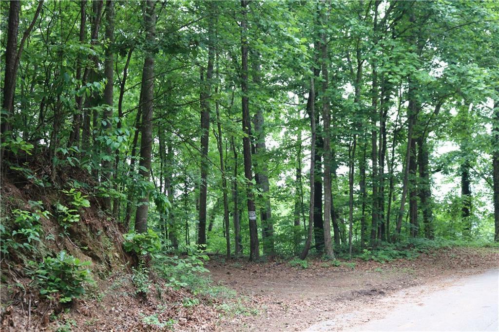 Property Photo: 49 Lake Top Drive SE GA 30121